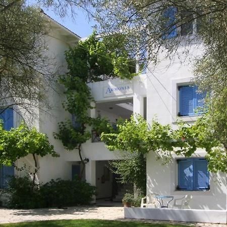 Armonia Apartments Vasiliki  Luaran gambar