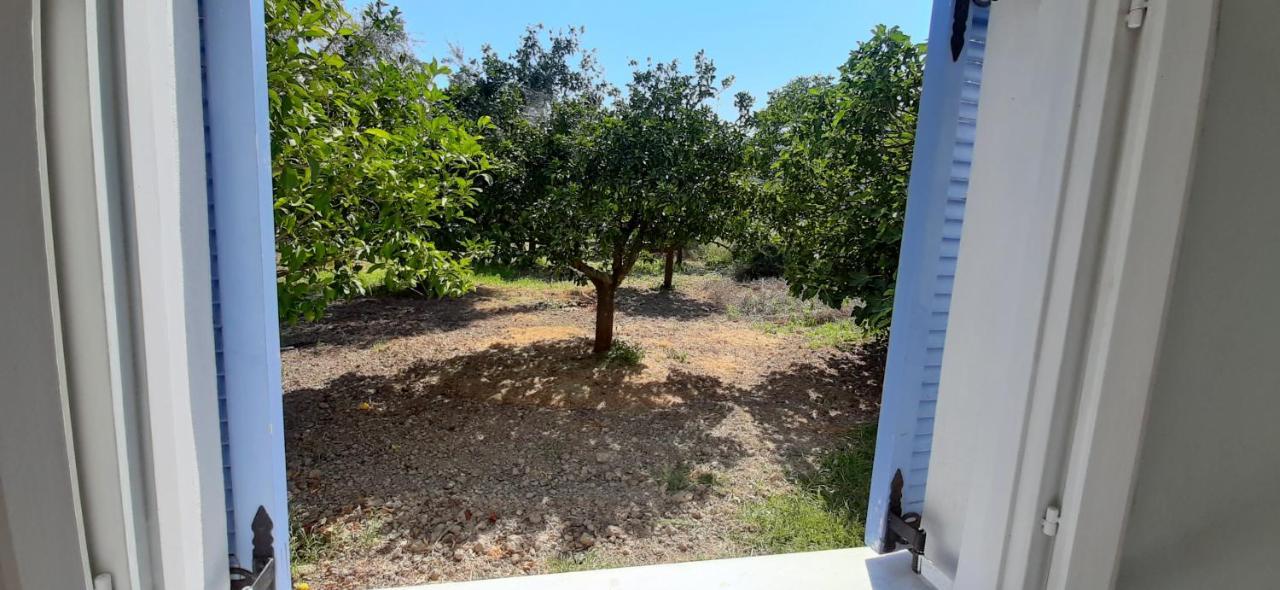 Armonia Apartments Vasiliki  Luaran gambar